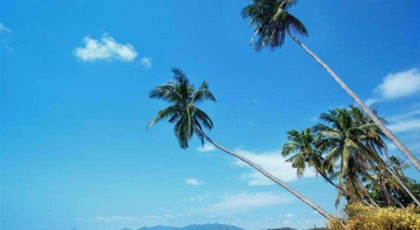 P.F Mansion Hotel Chaweng Beach Buitenkant foto